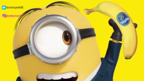 Pinky online show from December 2024 09:07:02 AM