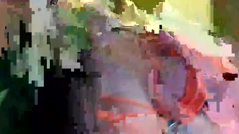 Snapshot of liv_lomax chatting on June 2026 11:30:02 AM LIV LOMAX online show from June 2026 11:30:02 AM