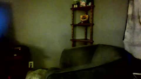 livingpuddle online show from September 2025 11:05:01 PM