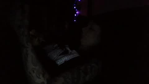 Liv Mirage online show from November 2025 10:48:02 AM