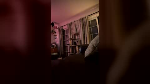 livtheenigma online show from June 2026 06:36:02 AM