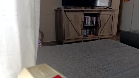 Snapshot of ljandcherry chatting on September 2025 05:02:02 PM LjCherry online show from September 2025 05:02:02 PM