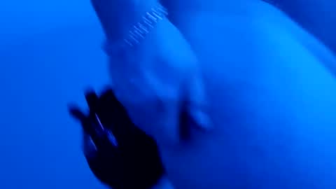 lllortx online show from February 2025 03:56:01 PM