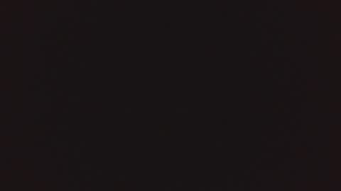 Lnkn online show from March 2025 07:41:01 AM