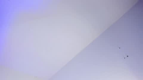 Snapshot of logan_west1 chatting on October 2025 08:04:02 AM Logan online show from October 2025 08:04:02 AM