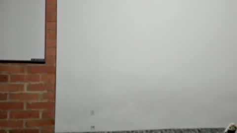 Logan online show from April 2026 03:06:01 AM