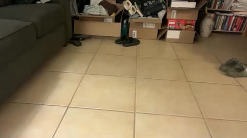 logical12345 online show from January 2026 06:39:02 AM