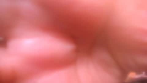 Lola Sweet online show from February 2025 01:32:01 PM