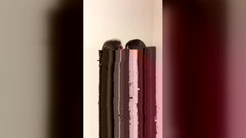 lola_linss online show from May 2026 11:11:01 PM