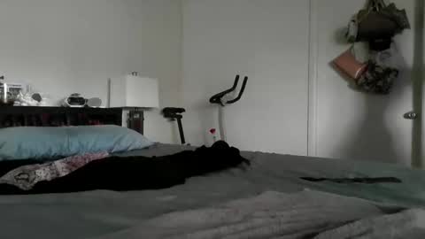 Snapshot of londonmariexxx chatting on November 2025 08:47:02 PM LondonMariexxx online show from November 2025 08:47:02 PM