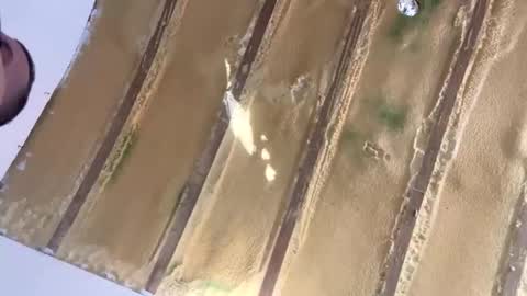 Snapshot of londonsbigbenxxx chatting on September 2025 09:25:02 AM londonsbigbenxxx online show from September 2025 09:25:02 AM