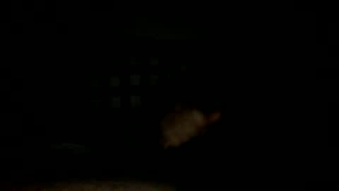 Handsome Cock online show from November 2025 07:34:02 PM