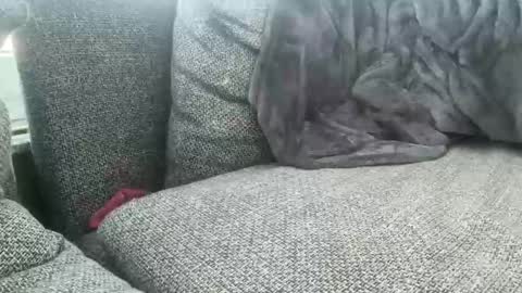 longjohnson94435702 online show from March 2025 07:54:02 AM