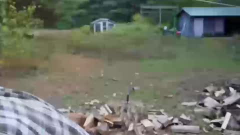 longtimerambler online show from October 2025 09:02:01 PM