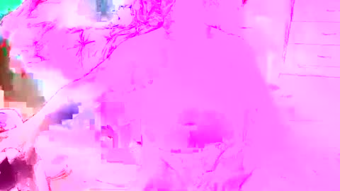 look4fun316 online show from November 2025 03:07:01 AM