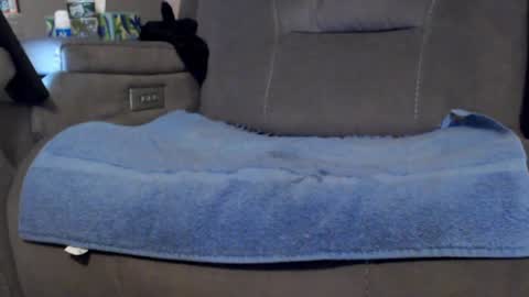 looking469 online show from April 2026 04:46:02 AM