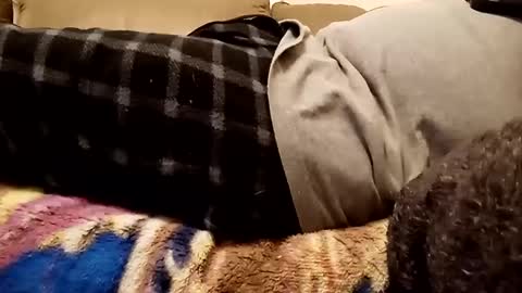 Snapshot of looking4bush chatting on December 2024 10:43:01 PM looking4bush online show from December 2024 10:43:01 PM