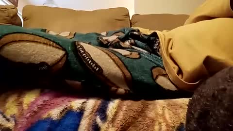 Snapshot of looking4bush chatting on December 2024 08:04:01 PM looking4bush online show from December 2024 08:04:01 PM