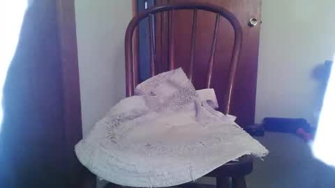 Snapshot of lookingforcougars500 chatting on November 2025 05:59:01 PM lookingforcougars500 online show from November 2025 05:59:01 PM