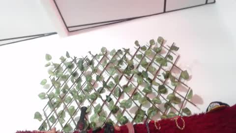 Snapshot of lorena_allison chatting on October 2025 08:32:01 PM lorena allison online show from October 2025 08:32:01 PM