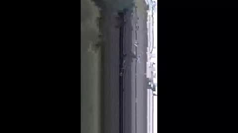 lotusbloom5 online show from April 2026 10:45:02 PM