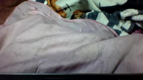 Snapshot of lovaelisa chatting on October 2025 04:08:02 PM lovaelisa online show from October 2025 04:08:02 PM