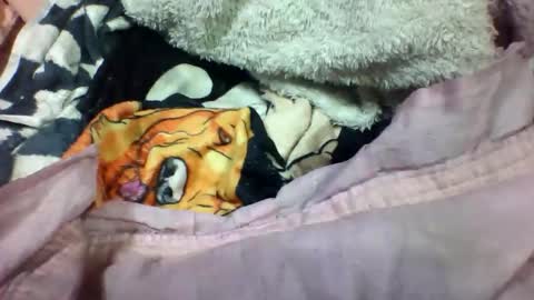 Snapshot of lovaelisa chatting on November 2025 02:52:02 PM lovaelisa online show from November 2025 02:52:02 PM