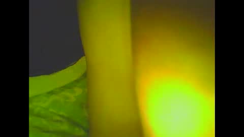 PleasureX online show from March 2025 08:30:01 AM