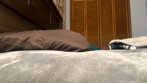 Snapshot of lovelace390 chatting on February 2025 01:27:01 PM Amber online show from February 2025 01:27:01 PM