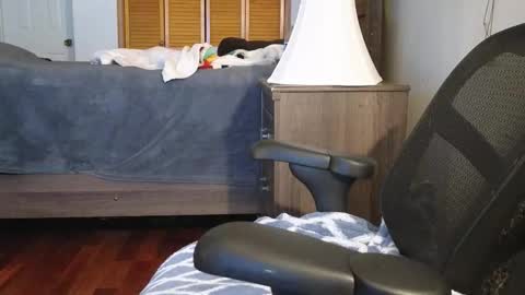 Snapshot of lovelace390 chatting on November 2025 03:19:01 AM Amber online show from November 2025 03:19:01 AM