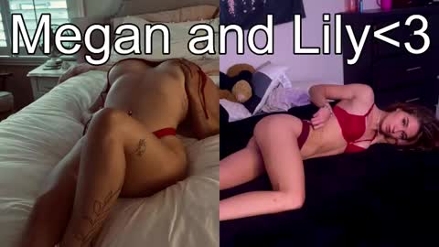 Snapshot of lovely_megan20 chatting on February 2025 07:53:02 AM Megan online show from February 2025 07:53:02 AM