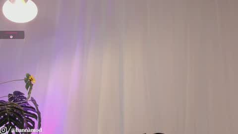    online show from November 2025 10:15:01 AM