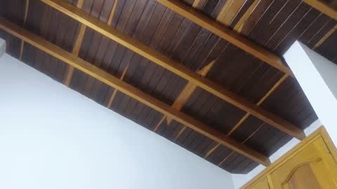 Trix online show from January 2025 11:45:02 AM