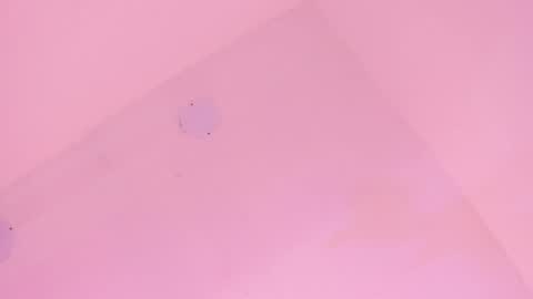 L O V E  online show from January 2026 11:47:01 AM