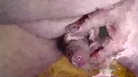 lover_troll online show from February 2026 10:44:02 AM