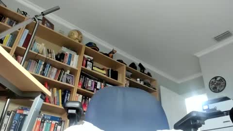 Snapshot of lovestylistwomen chatting on February 2025 01:33:01 AM Michael online show from February 2025 01:33:01 AM