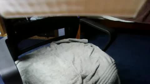 Snapshot of lovetolick272988 chatting on October 2025 02:34:01 AM lovetolick272988 online show from October 2025 02:34:01 AM