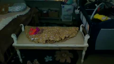 Snapshot of lovetubes101 chatting on September 2025 01:18:02 AM lovetubes101 online show from September 2025 01:18:02 AM