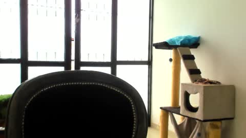 luara__01__lecat_1 online show from November 2025 05:34:01 PM