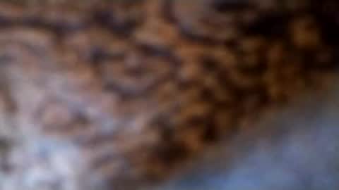 lubestroker4us online show from February 2026 05:32:01 PM