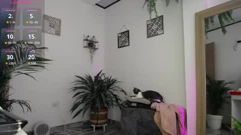 luciiana online show from February 2025 03:05:02 PM