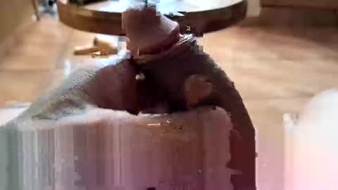 lucky_og24 online show from December 2024 10:37:01 PM