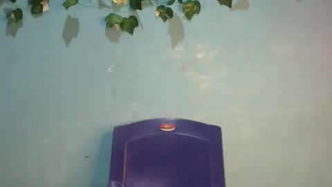 Snapshot of luckymadequeen chatting on November 2025 01:00:02 AM Gloria online show from November 2025 01:00:02 AM