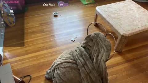 lucydreamsbaby online show from February 2025 06:19:02 PM