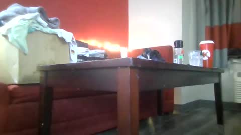 Lucy Loves Lookers online show from January 2025 12:04:02 PM