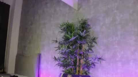 Snapshot of lucyrayy chatting on February 2026 10:58:02 PM lucyrayy online show from February 2026 10:58:02 PM