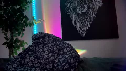 luisjg24hrs online show from May 2026 08:38:02 PM
