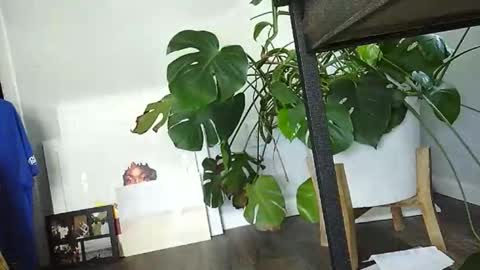 Snapshot of lukesky222 chatting on March 2026 07:31:01 PM Luke online show from March 2026 07:31:01 PM