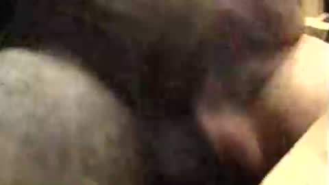 lukestarfckr online show from October 2025 09:40:01 AM