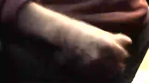 lukestarfckr online show from March 2026 06:08:01 PM